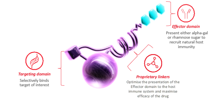 Molecule